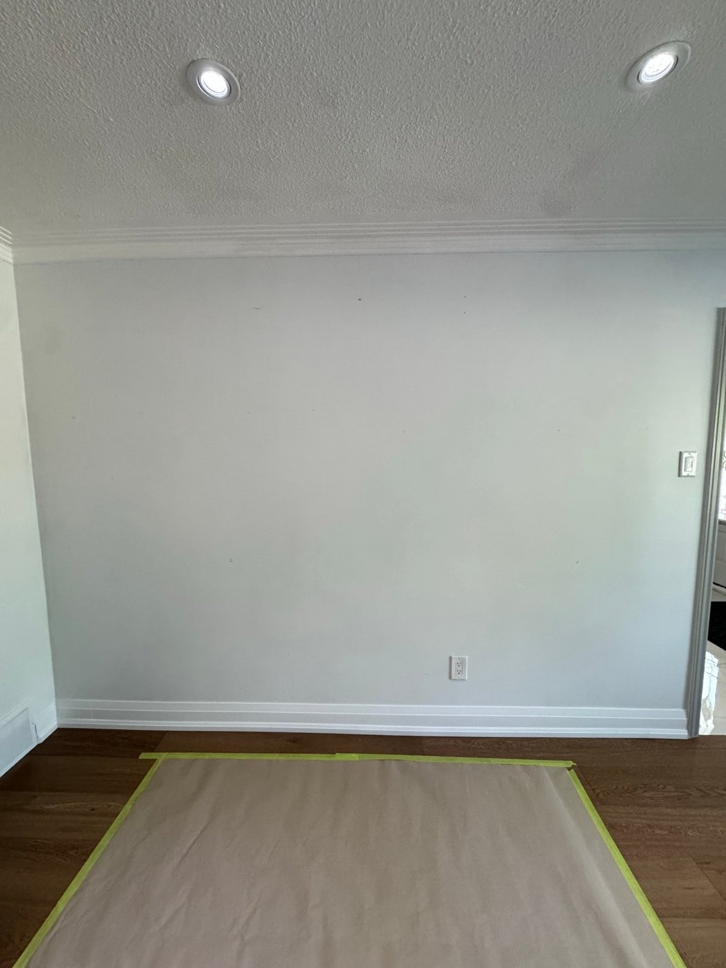 Fireplace wall before